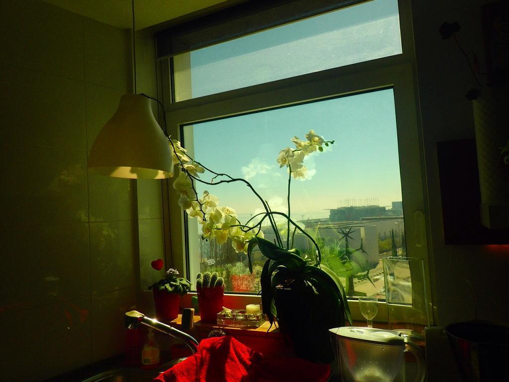 Lxriverside Suite Apartment Lisbon Bagian luar foto